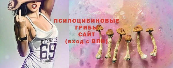 эйфоретик Касимов