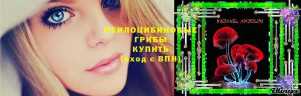 эйфоретик Касимов