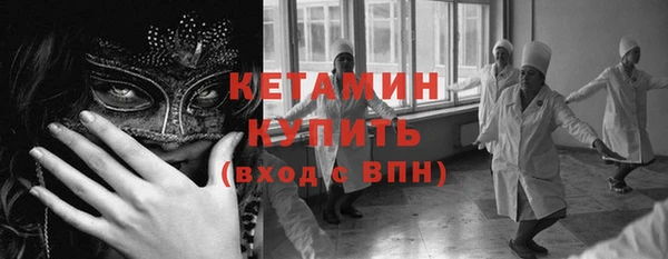 сатива Карпинск