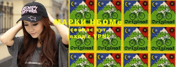 сатива Карпинск