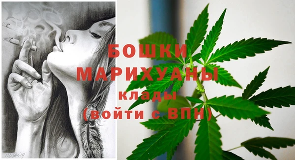 сатива Карпинск
