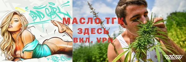 сатива Карпинск