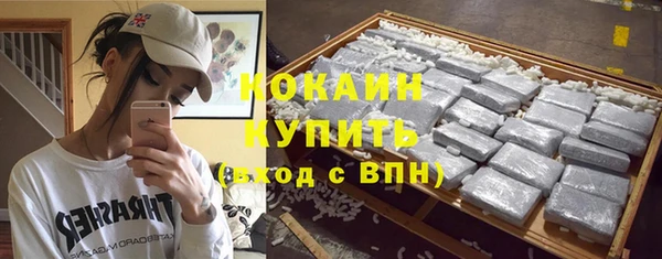 эйфоретик Касимов
