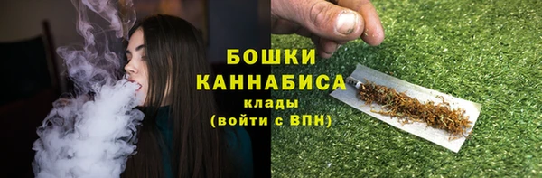 сатива Карпинск