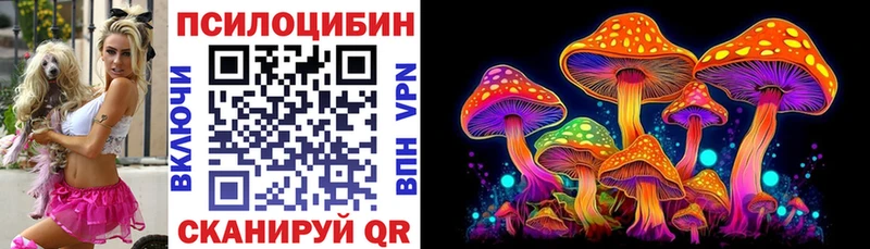 Псилоцибиновые грибы прущие грибы  Купить  Назрань 